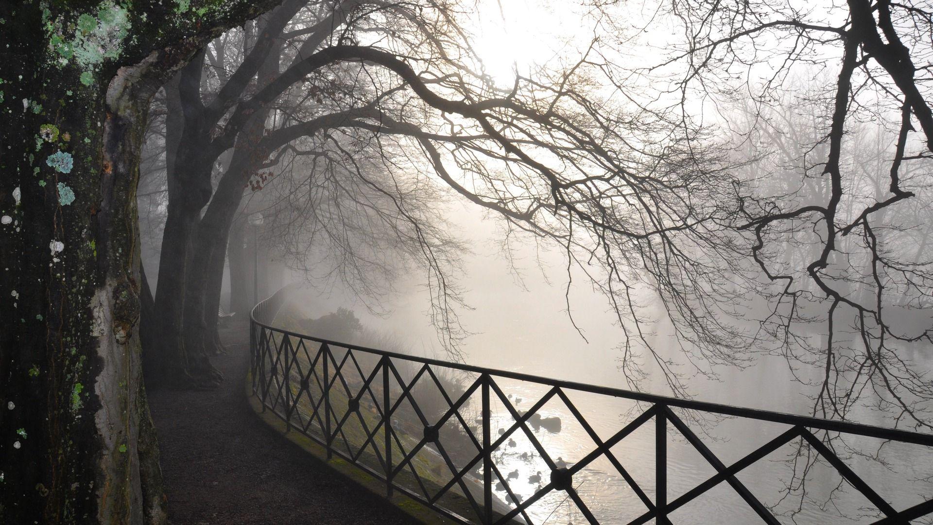 1920x1080 Fog Wallpaper 36642 1920x1080 px
