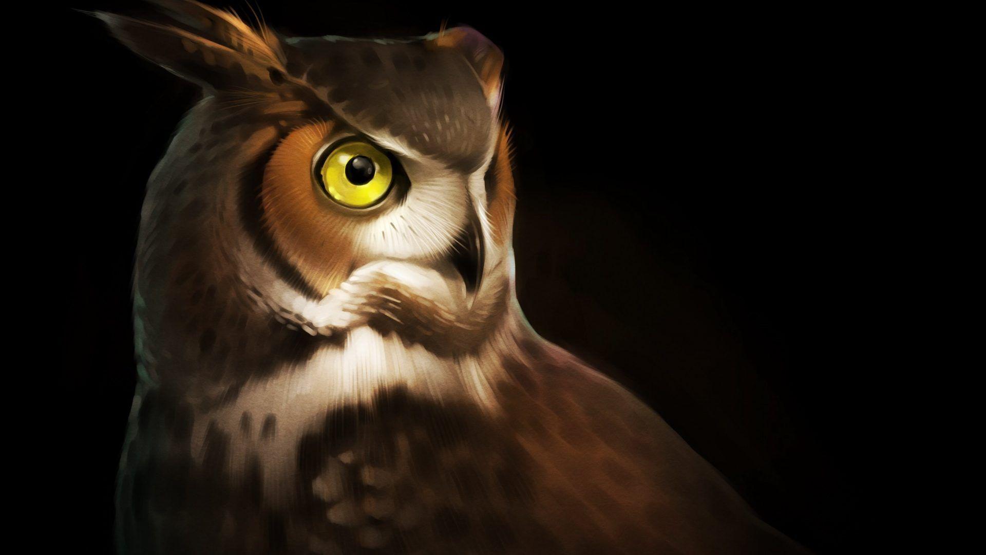 1920x1080 Animalli.com: Animals Black Art Owls Painting HD Birds