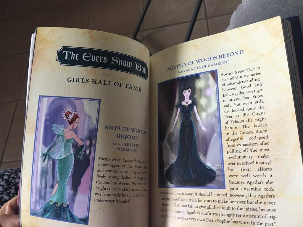 1024x768 The School for Good and Evil Handbook!. Books & Writing Amino