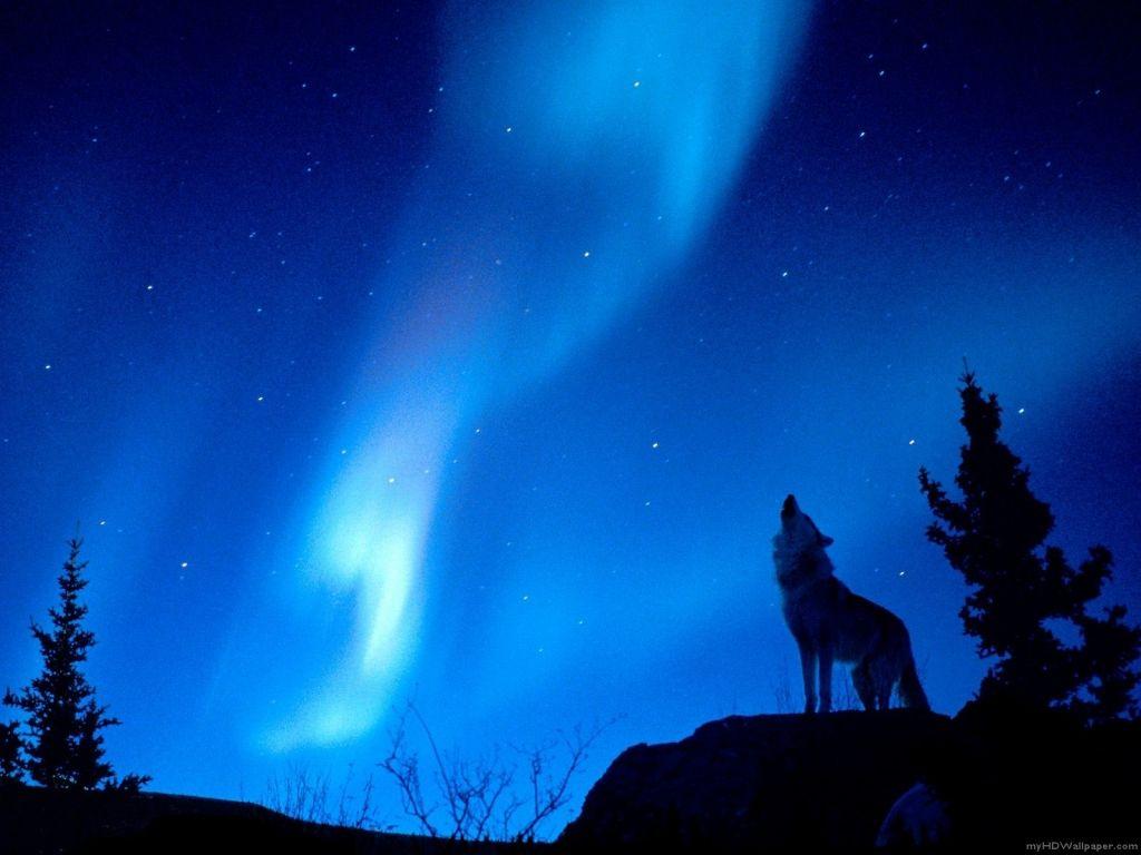 Blue Aurora Wallpapers - Top Free Blue Aurora Backgrounds - WallpaperAccess