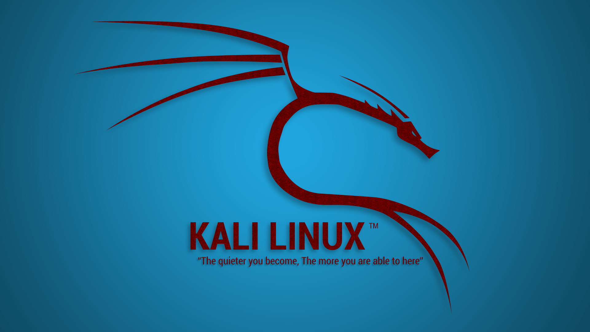 Kali Linux HD wallpaper  Pxfuel