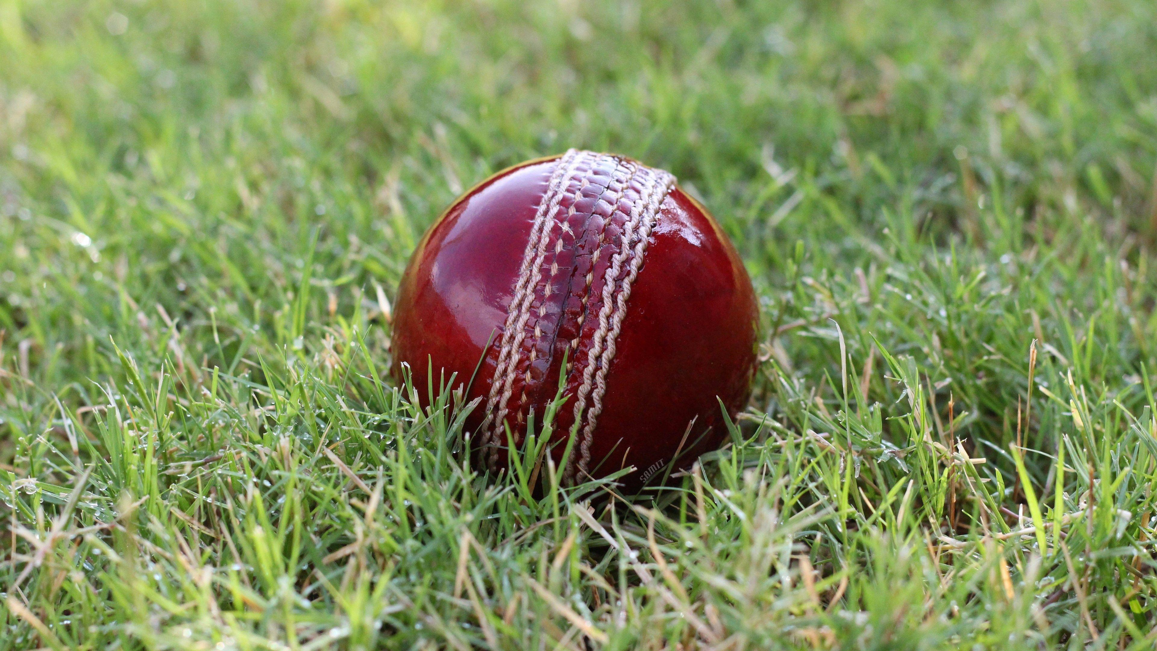 H nh N n Cricket 4K Top Nh ng H nh nh p