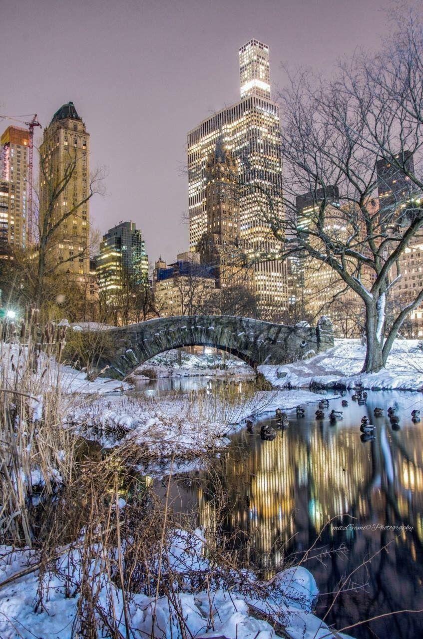 847x1280 Get Inspired For iPhone New York Christmas Wallpaper HD Photo