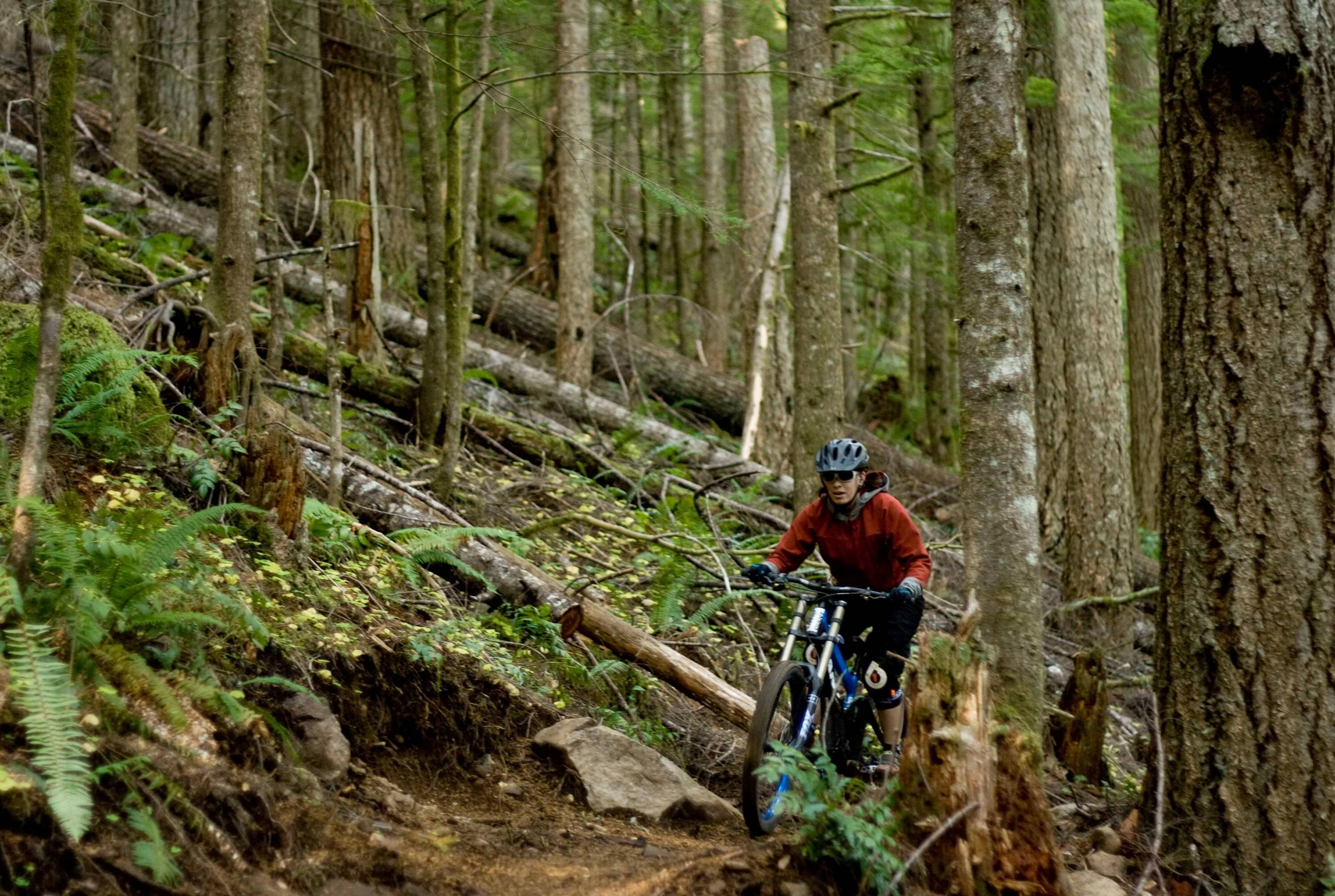 3741x2513 Biking for Beginners Started on the Right Pedal
