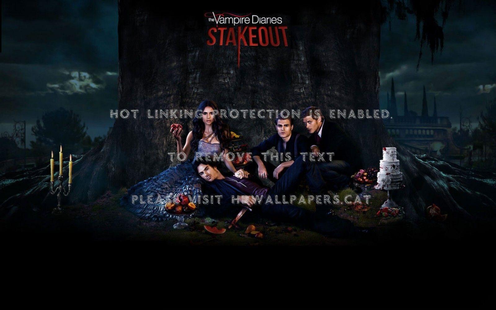 1600x1000 stakeout stefan elena vampires damon klaus
