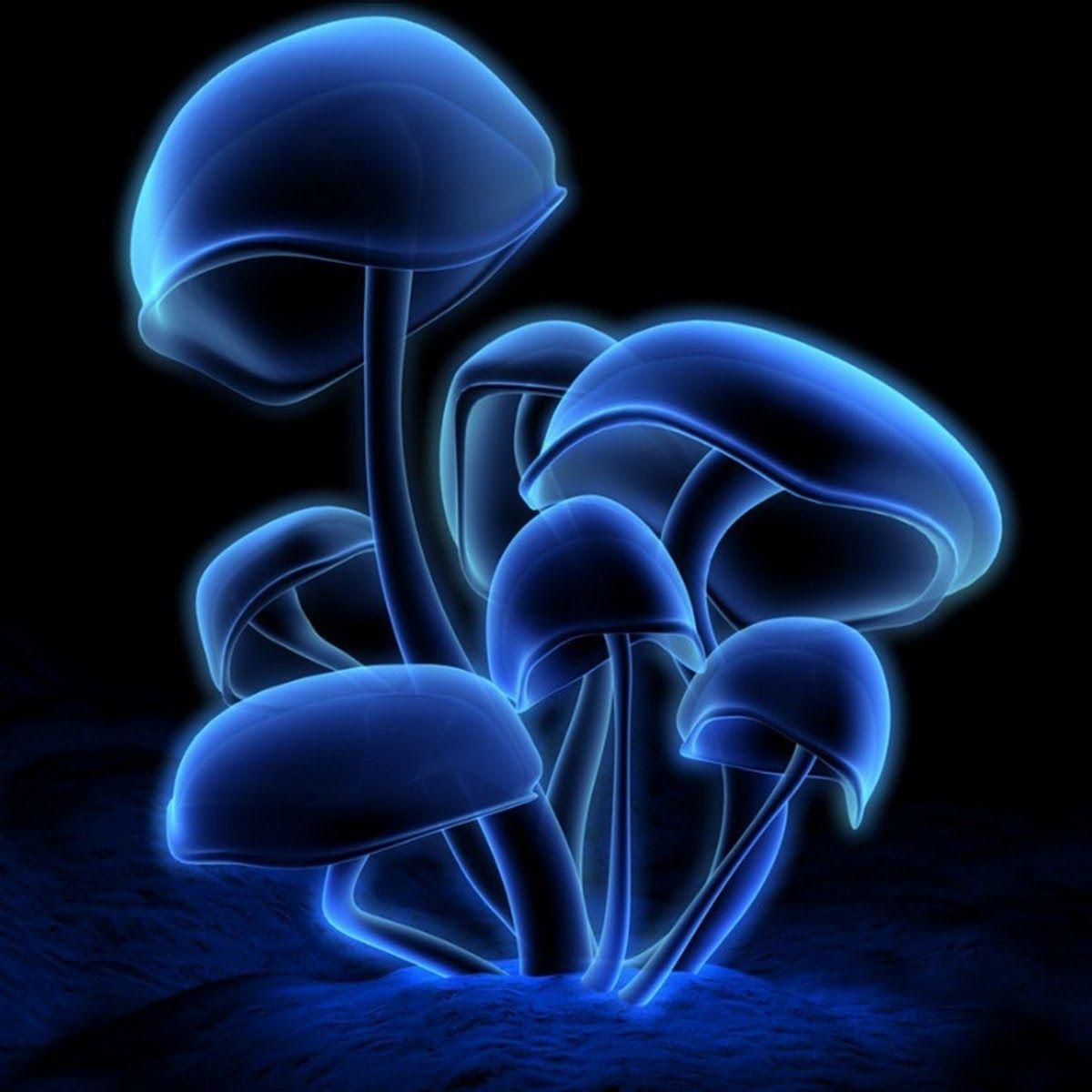 1200x1200 Best 3D Wallpaper Download Trends Update