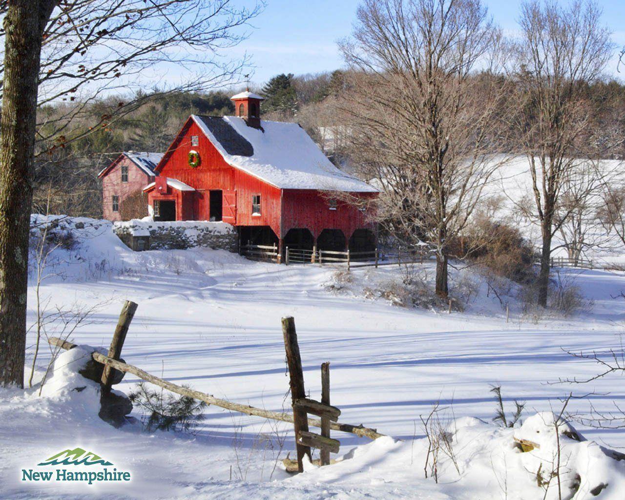 1280x1024 Farm Animals Winter Wallpaper