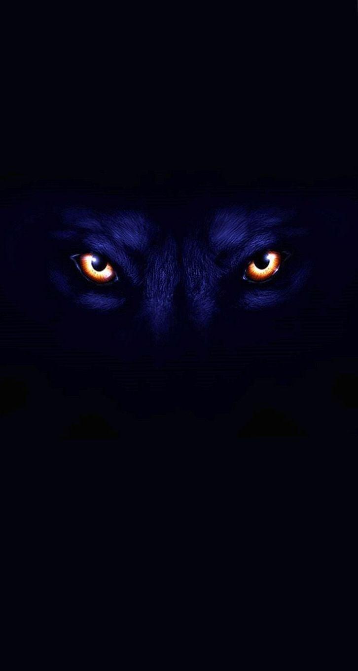 726x1360 Dark Alpha Wolf Wallpaper