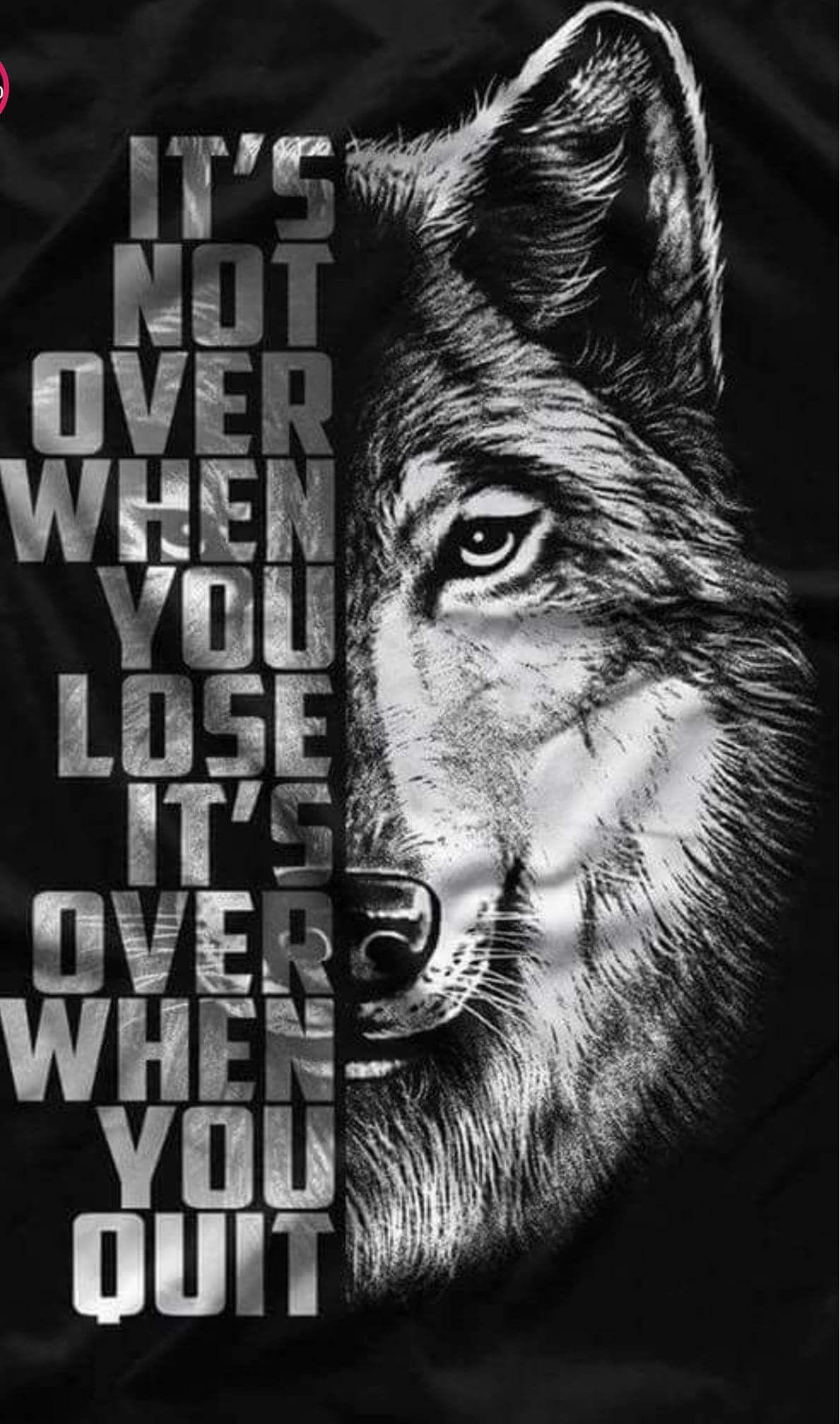 1189x2015 iPhone Black Alpha Wolf Symbol Wolf Wallpaper