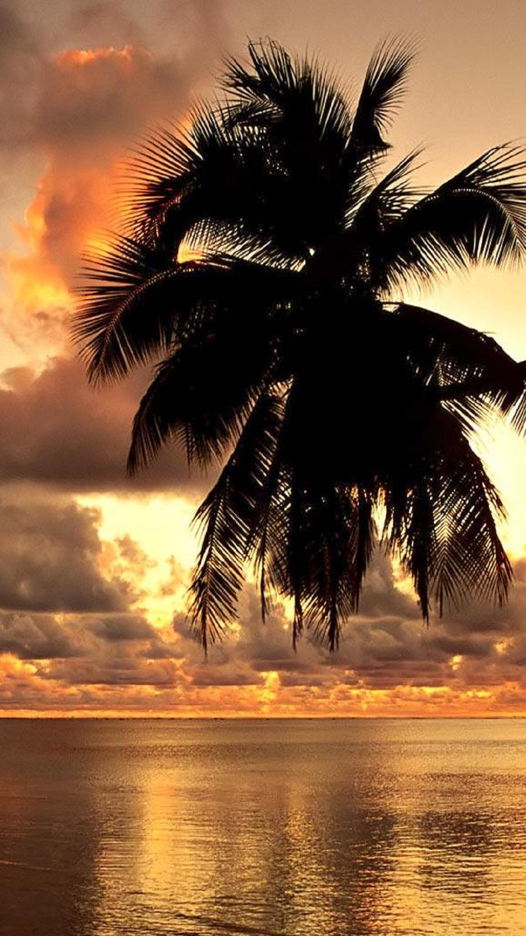 1080x1920 Hawaii Wallpaper HD for Android