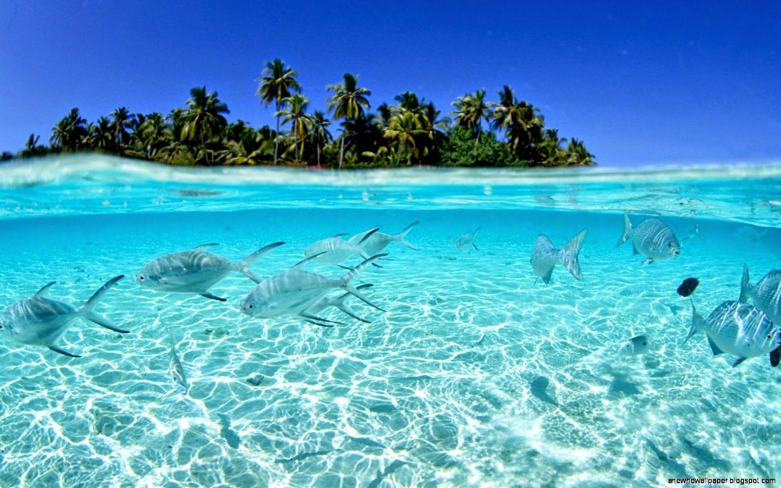 1600x1000 Free Hawaii Wallpaper