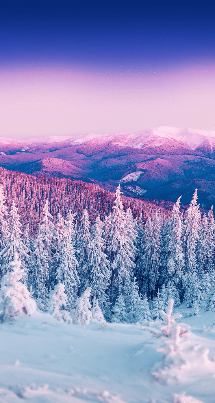 744x1392 Winter background free HQ online Puzzle Games on Newcastlebeach 2020!
