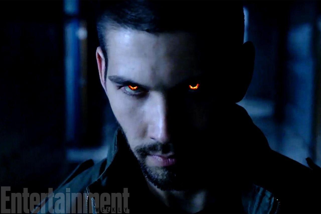 1280x853 Meet Halwyn a new Hellhound loup photo