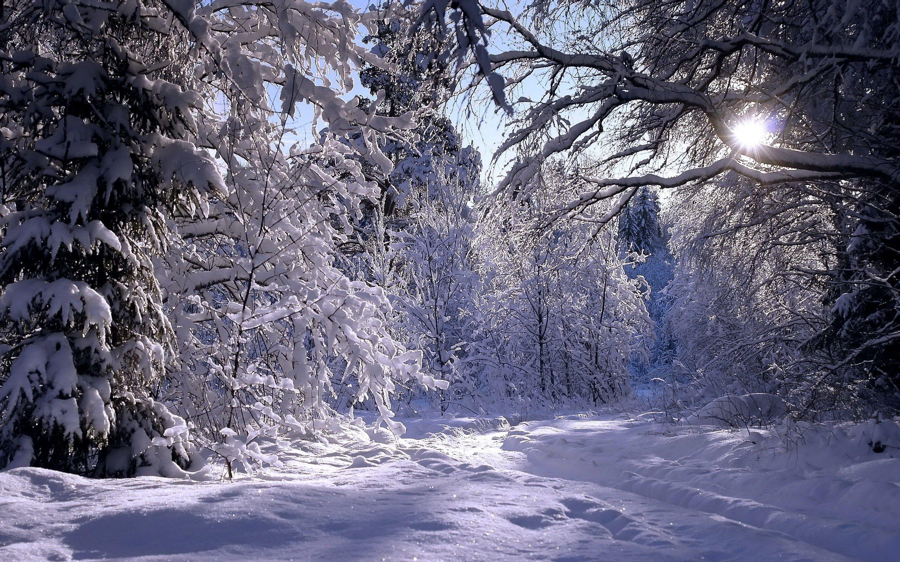 3000x1875 winter screensavers background (Marlow Mason 3000x1875). Winter landscape, Winter forest, Winter screensavers
