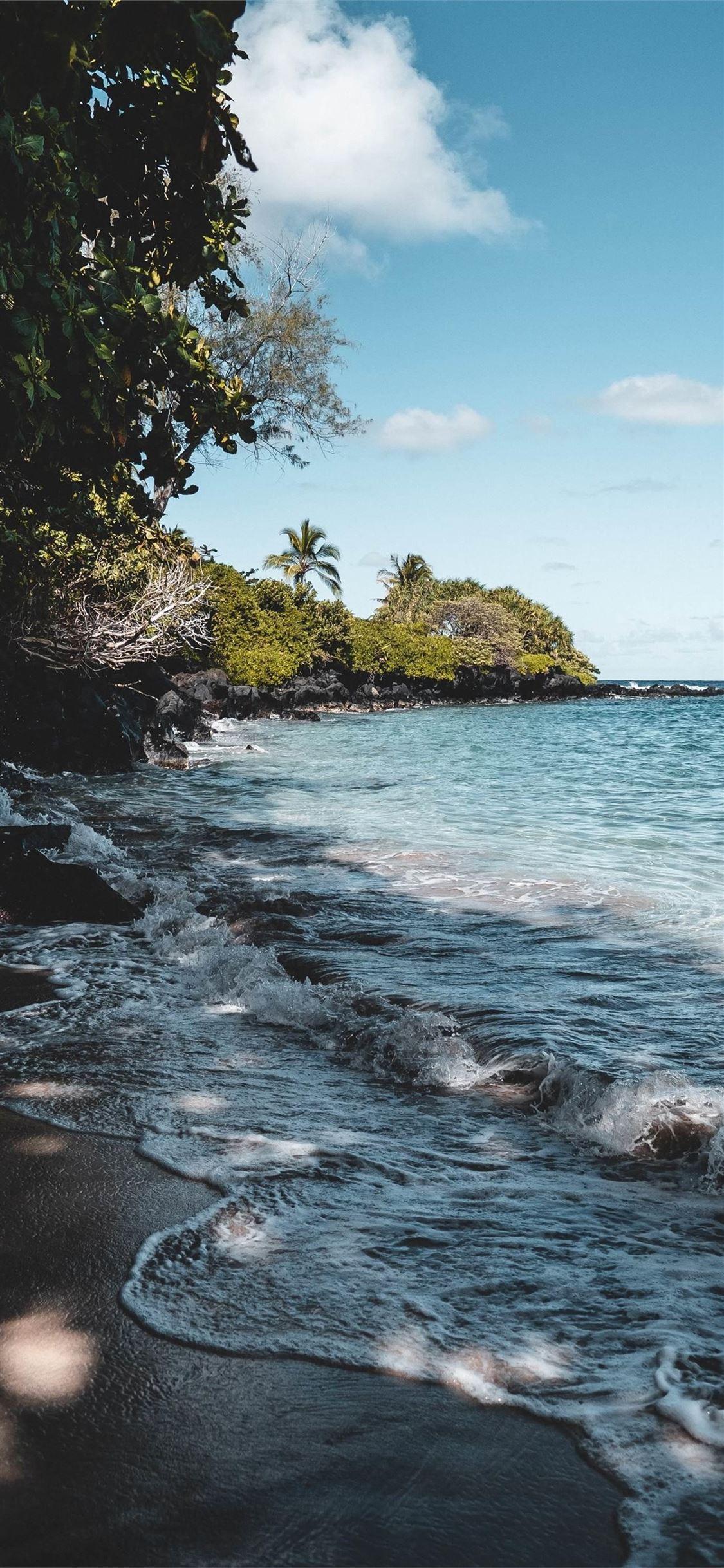 1125x2436 Best Hawaii iPhone 11 Wallpaper HD [2020]