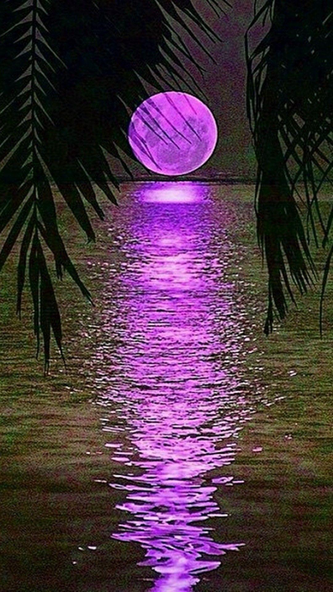 Beautiful Purple Moon Wallpapers Top Free Beautiful Purple Moon