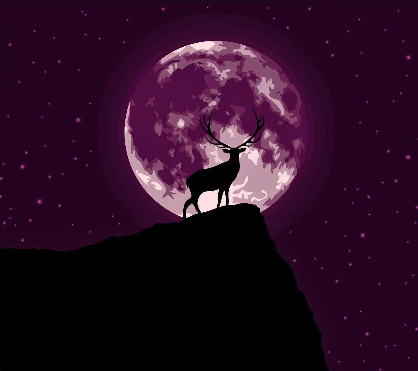1440x1280 Purple Moon wallpaper