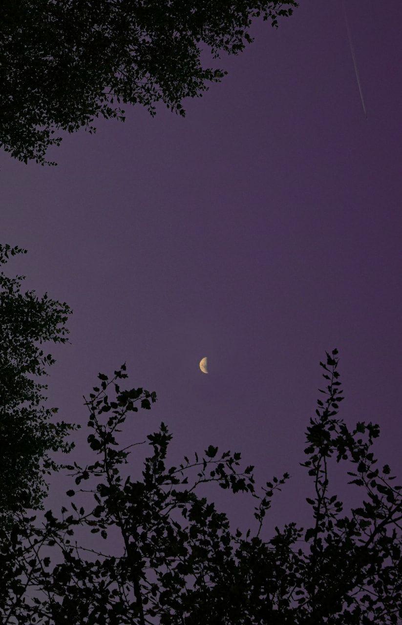 823x1280 beautiful moon & purple sky p.s. this photo was taken