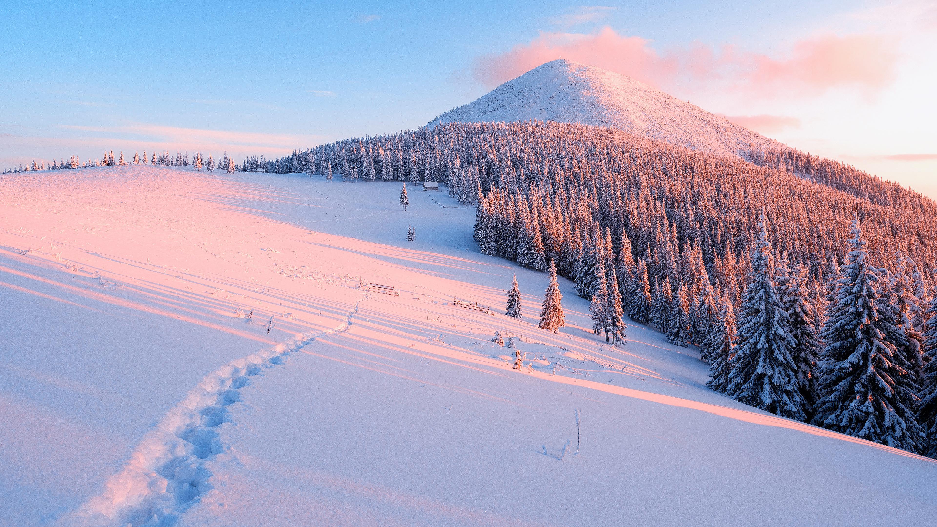 3840x2160 Snow 4K wallpaper for your desktop or mobile screen free and easy to download
