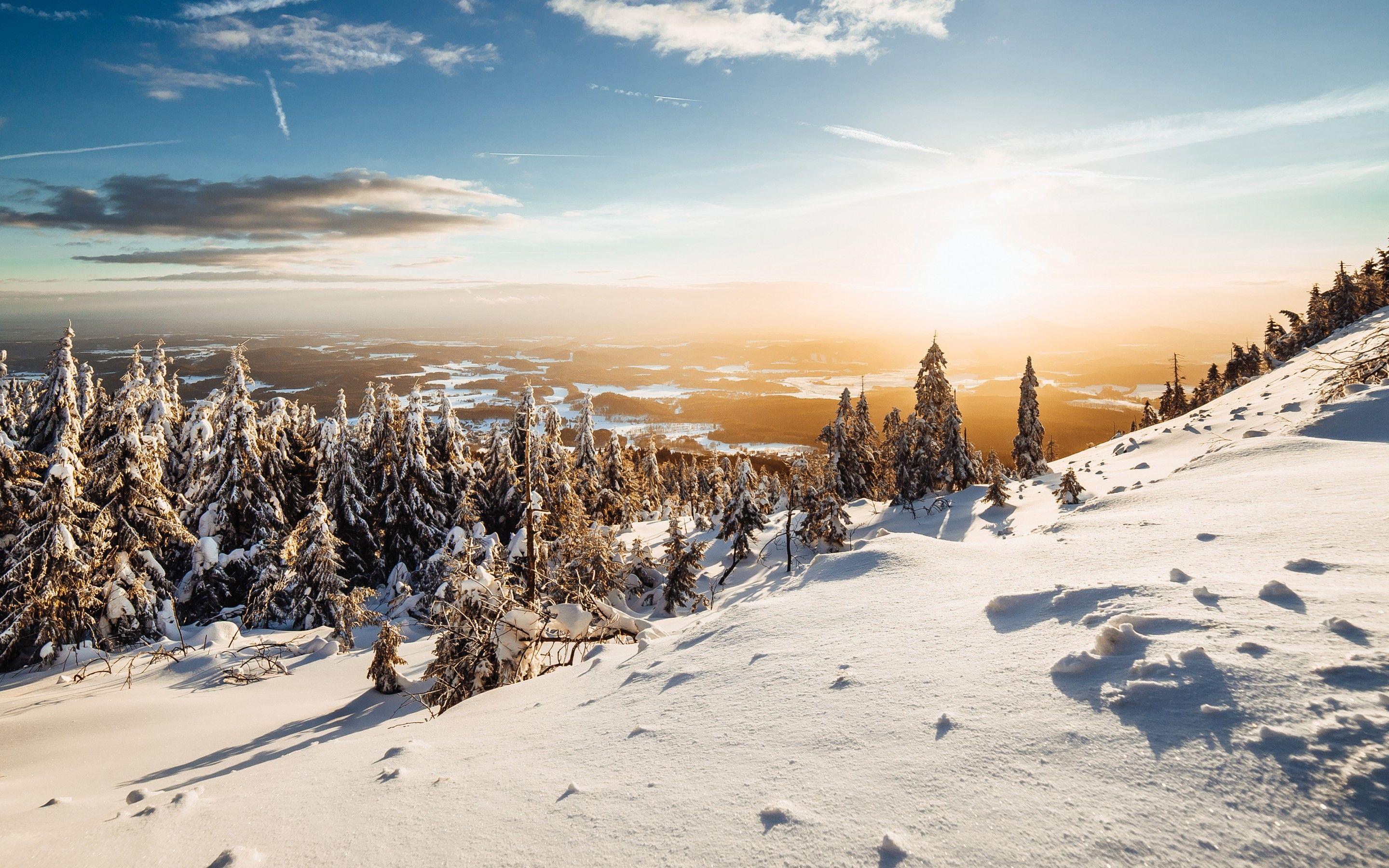 2880x1800 Winter 4K Wallpaper, Landscape, Pine trees, Frosted trees, Sunny day, Snow, 5K, Nature