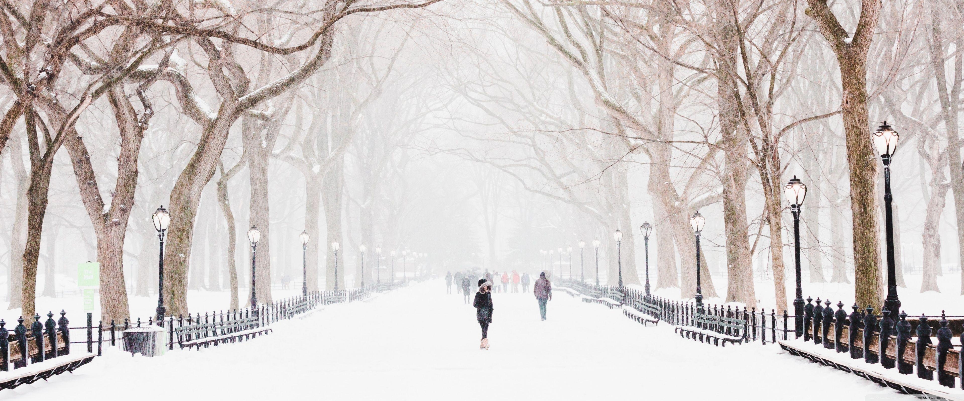 3840x1600 Winter, Central Park, New York City Ultra HD Desktop Background Wallpaper for 4K UHD TV : Widescreen & UltraWide Desktop & Laptop : Tablet