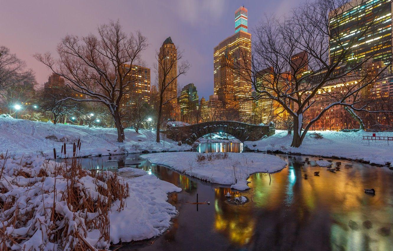 1332x850 Wallpaper winter, snow, trees, night, branches, lake, reflection, duck, New York, skyscrapers, mirror, Central Park, United States, lampposts, Gapstow Bridge image for desktop, section город
