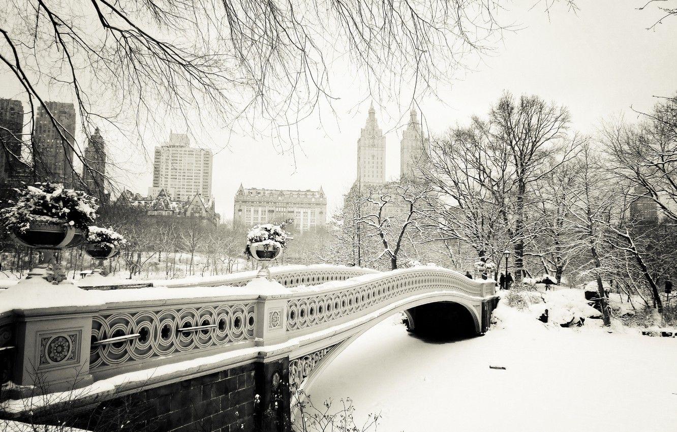 1332x850 Wallpaper winter, snow, trees, nature, the city, New York, USA, USA, Manhattan, NYC, New York City, Central Park, Central Park, Bow Bridge image for desktop, section город