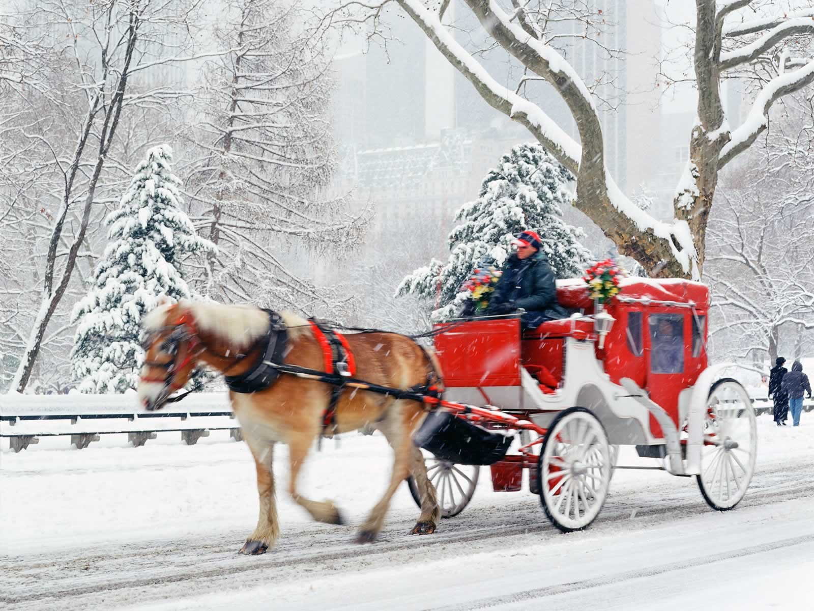 1600x1200 Hansom Cab Central Park New York