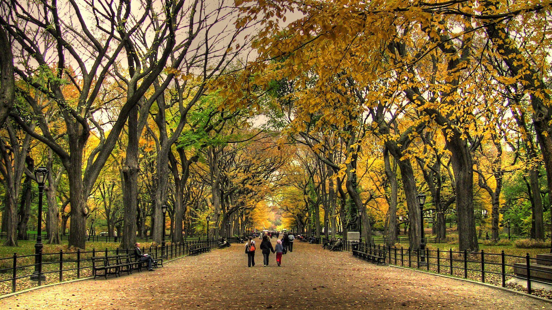 1920x1080 Central Park Autumn landscape nature beauty wallpaperx1080