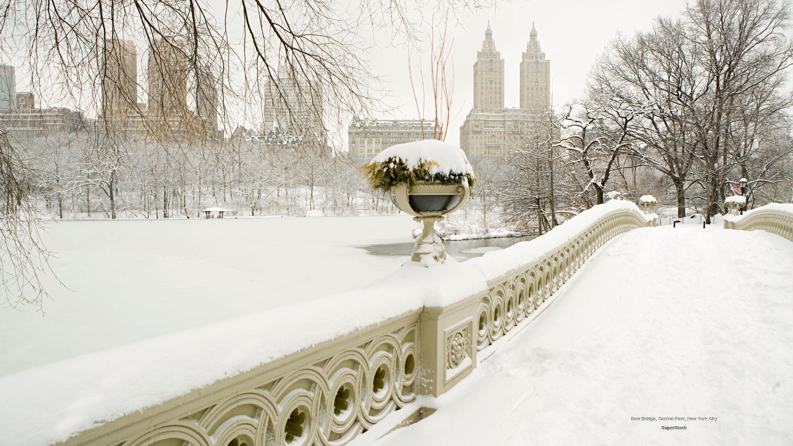 2560x1440 Bow Bridge, Central Park, New York City. Nyc christmas, Usa wallpaper, Nyc