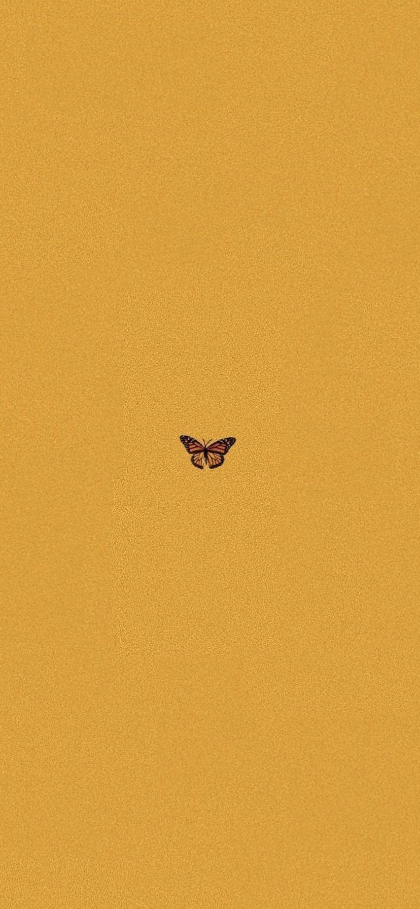 828x1792 Aesthetic - Hình nền, con bướm thẩm mỹ màu vàng IPhone X #yellowaesthetic Wallpaper, xin chào &;