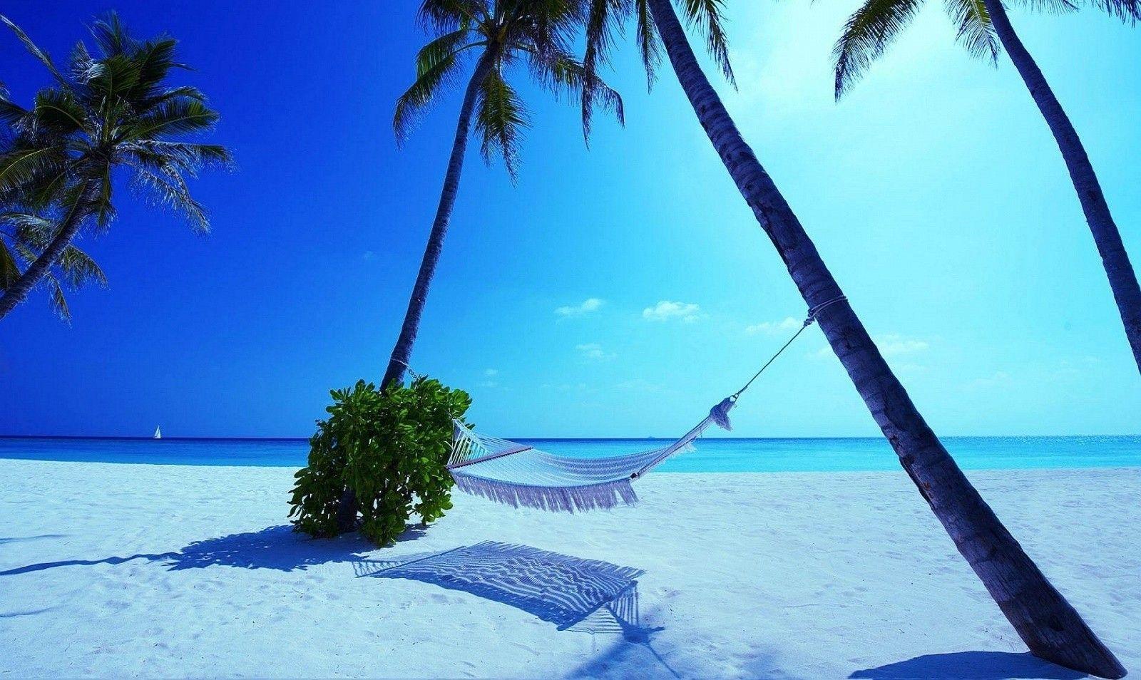 1600x954 Beaches: Palm Beach Rest Hammock Nice Maldives Wallpaper Tropical