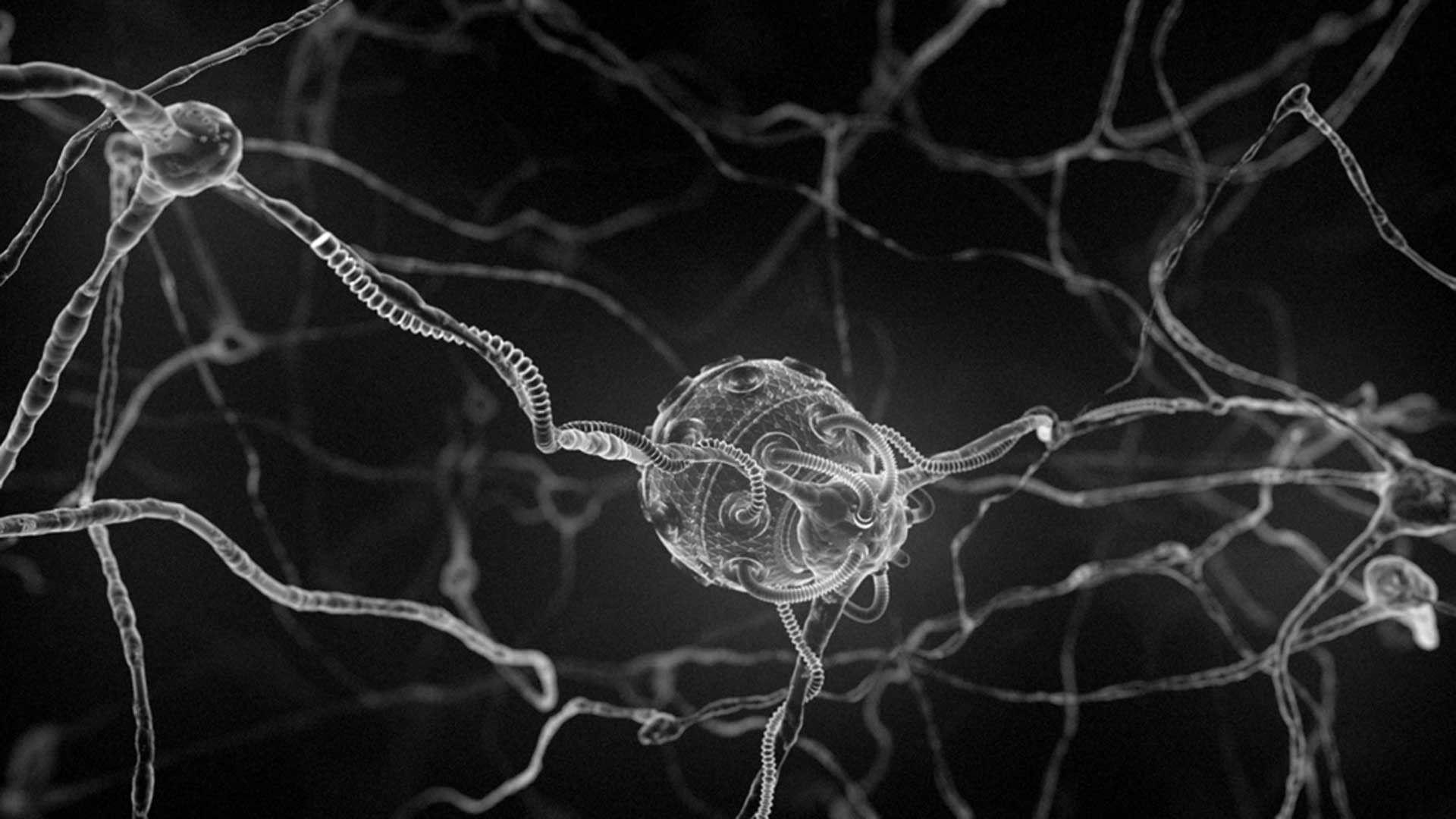 1920x1080 Human Anatomy Wallpaper for Desktop. Human Skeleton Wallpaper, Biomechanical Human HD Wallpaper and Human Wallpaper