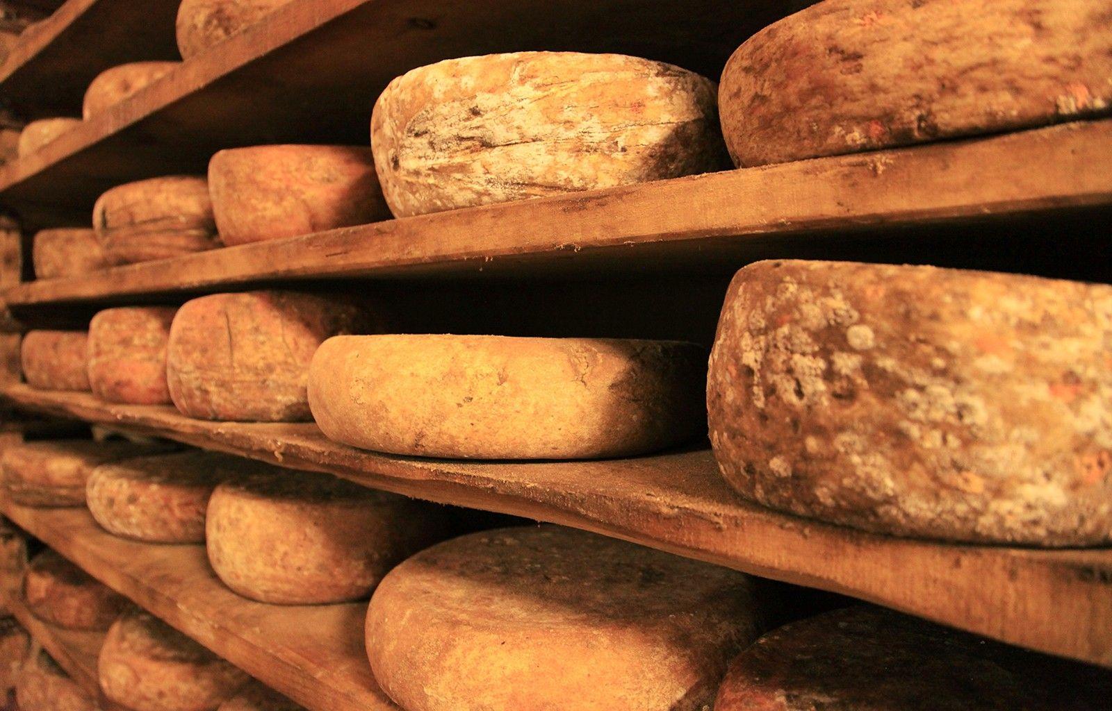1600x1024 Food, Italian, Italy, Cheese, HD Wallpaper, High Resolution Background Image, Desktop Image Of Windows, Amazing, Cool, Best Wallpaper Ever, Image, Picture, 1600x1024