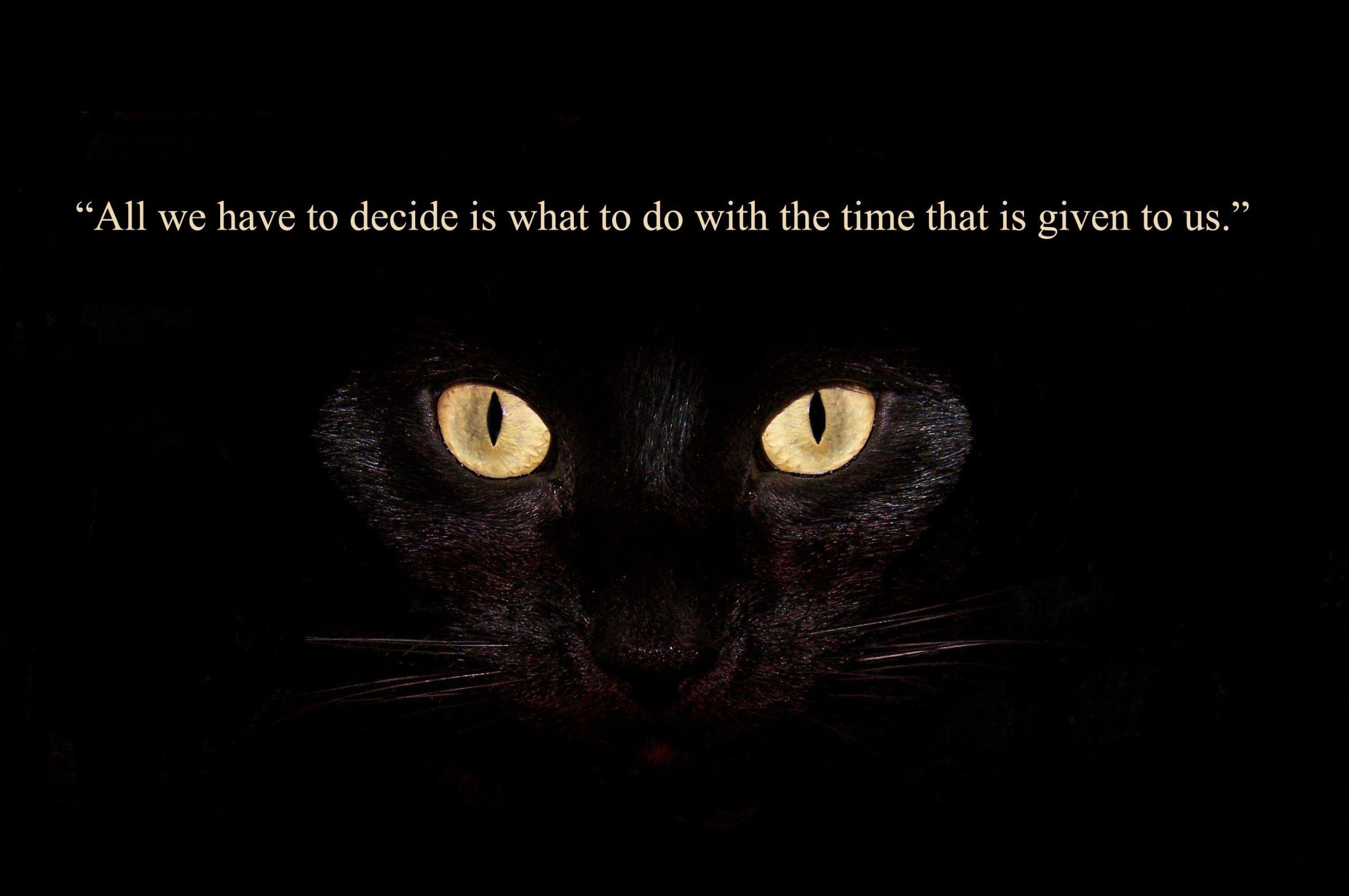 2560x1700 Free download Strong wise wisdom quotes image wallpaper 2018 HD [2781x1967] for your Desktop, Mobile & Tablet. Explore Wallpaper of Quotes & Sayings. Funny Wallpaper Quotes Sayings