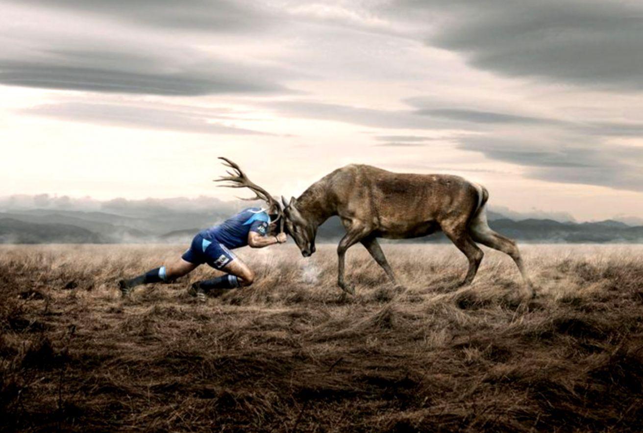 1312x883 Rugby Wallpaper