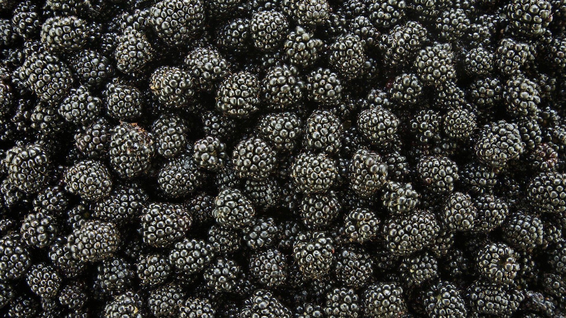 1920x1080 black, fruits, blackberries wallpaper