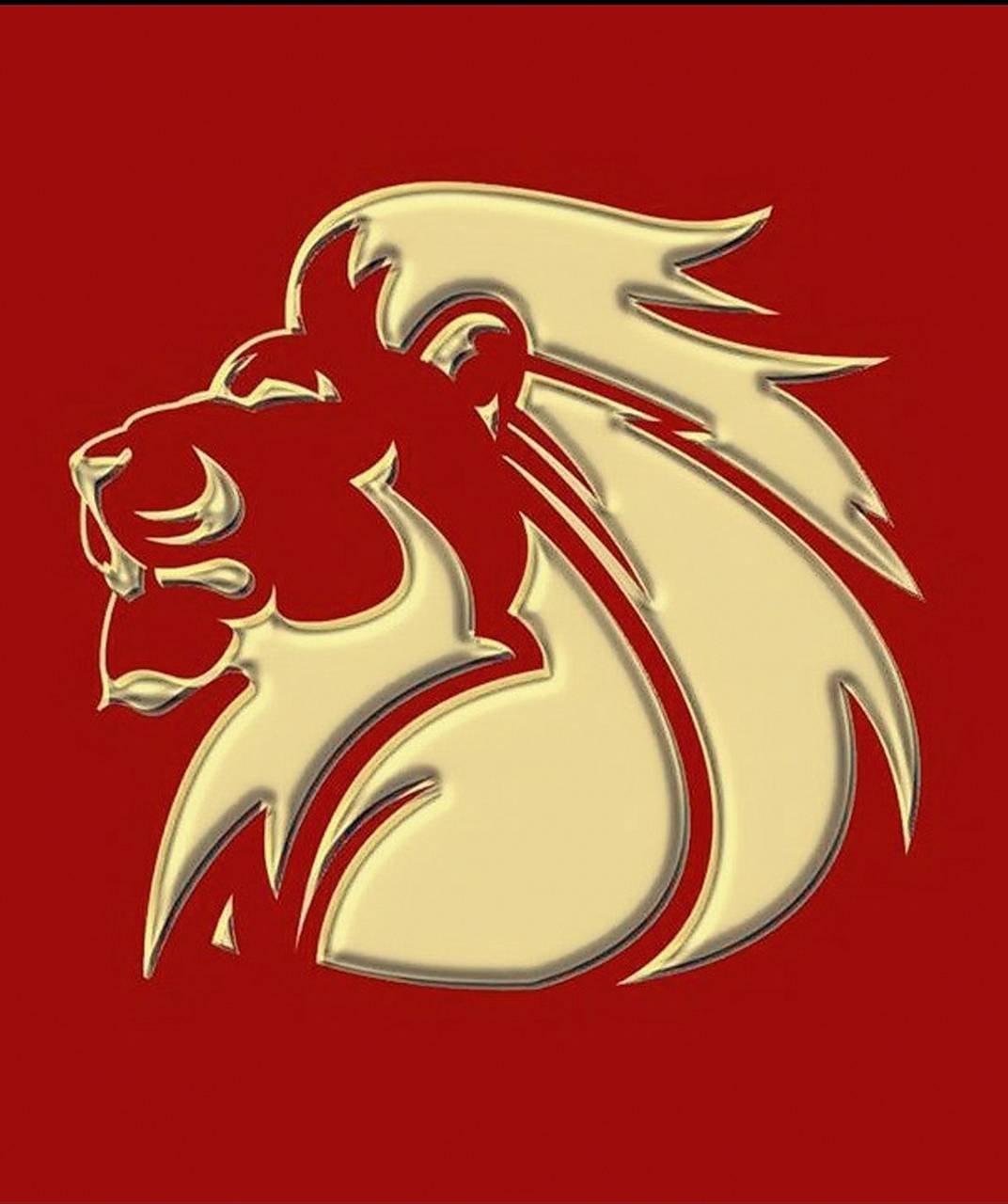 1072x1280 Lions rugby wallpaper