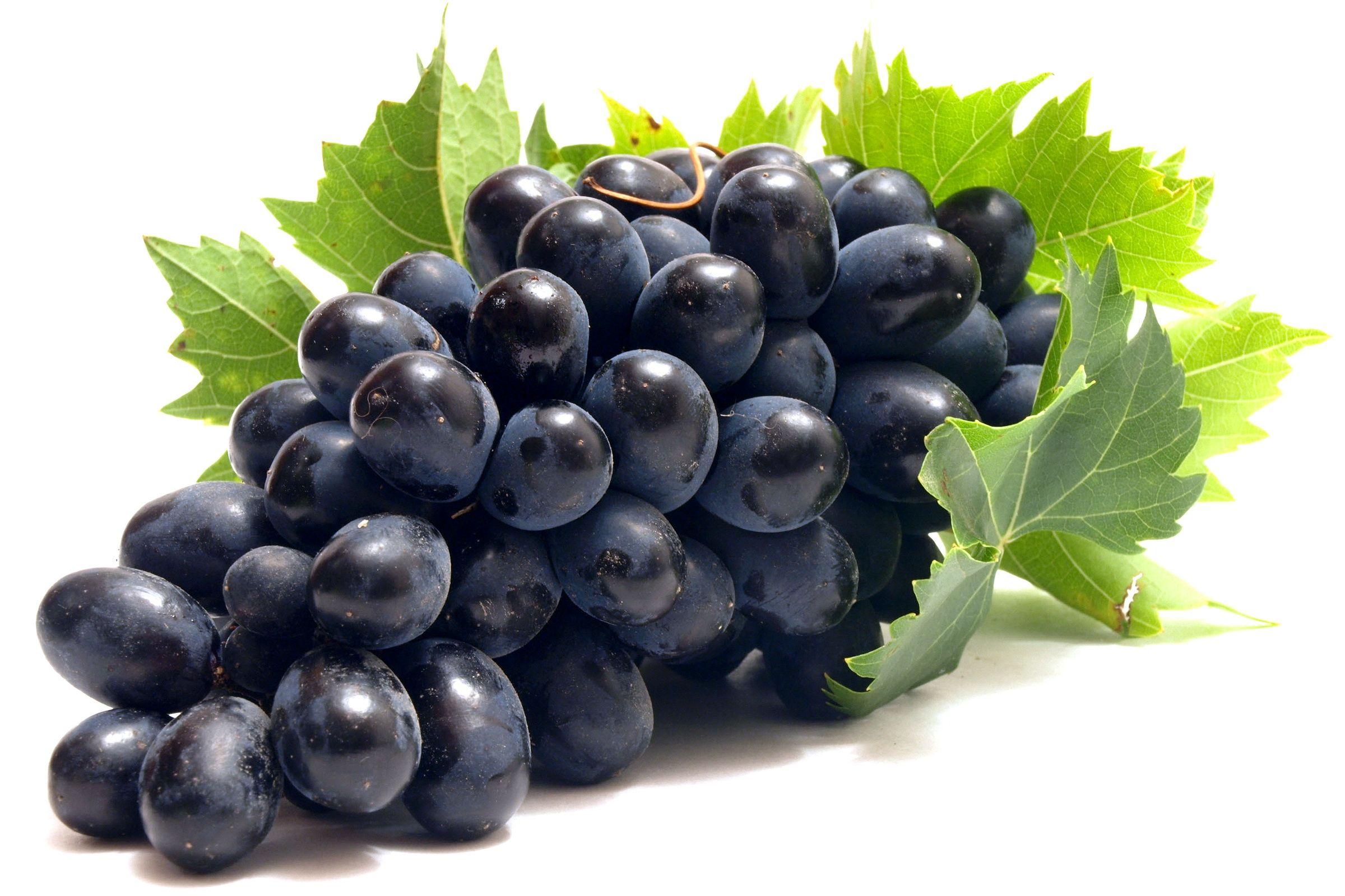 2400x1600 Fruits Wallpaper Desktop Background