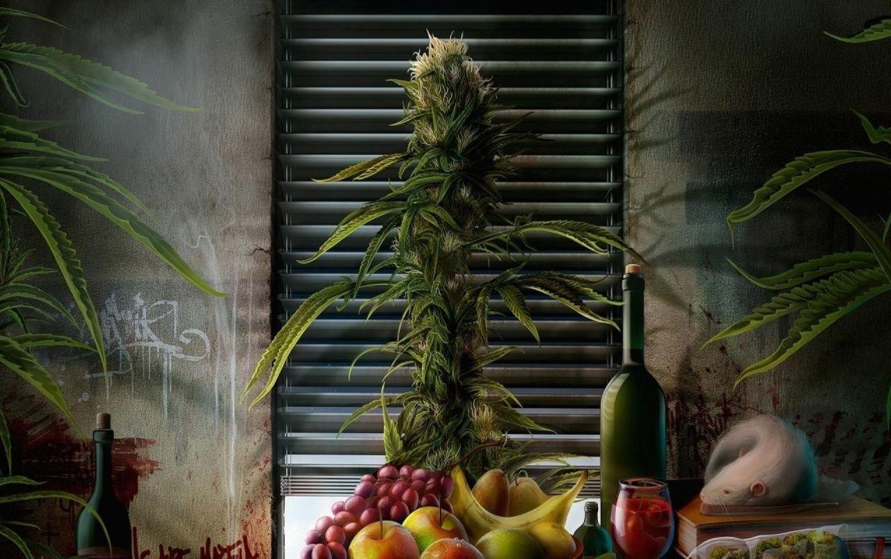 1280x804 Abstract Fruits & Wine wallpaper. Abstract Fruits & Wine