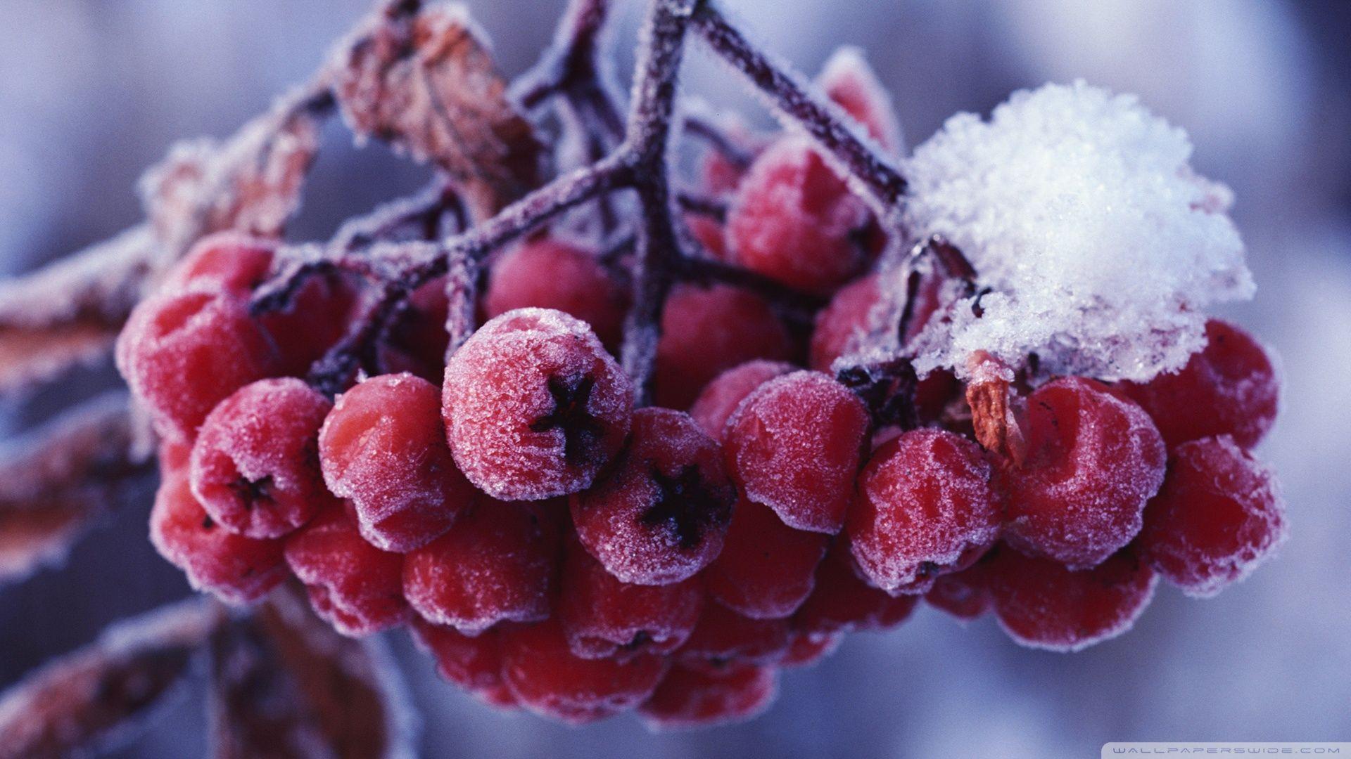1920x1080 Download Rowans Fruits Wallpaper 1920x1080
