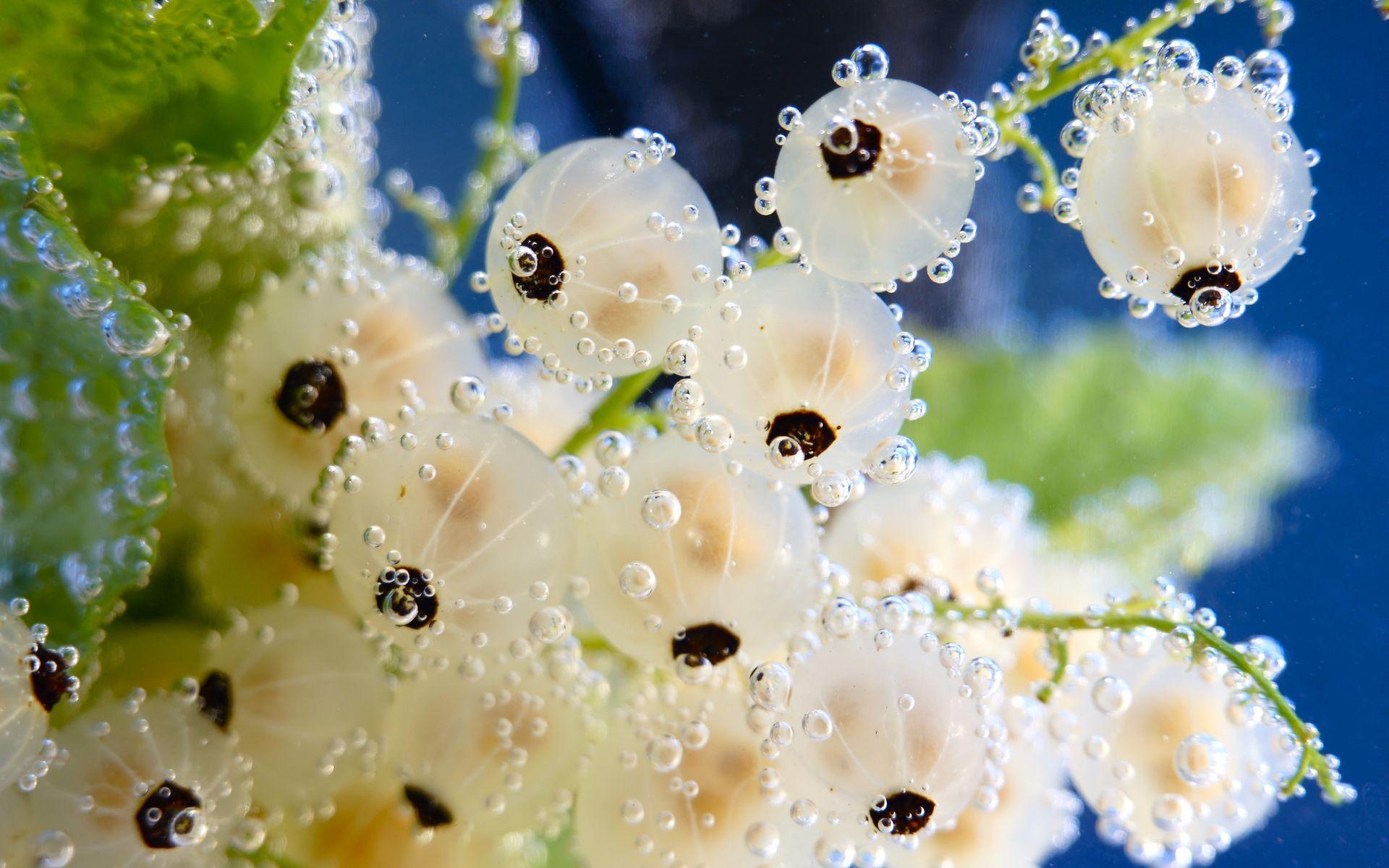 1920x1200 berries, Food, Drops, Bubbles, Water, Underwater, Plants, Fruit Wallpaper HD / Desktop and Mobile Background