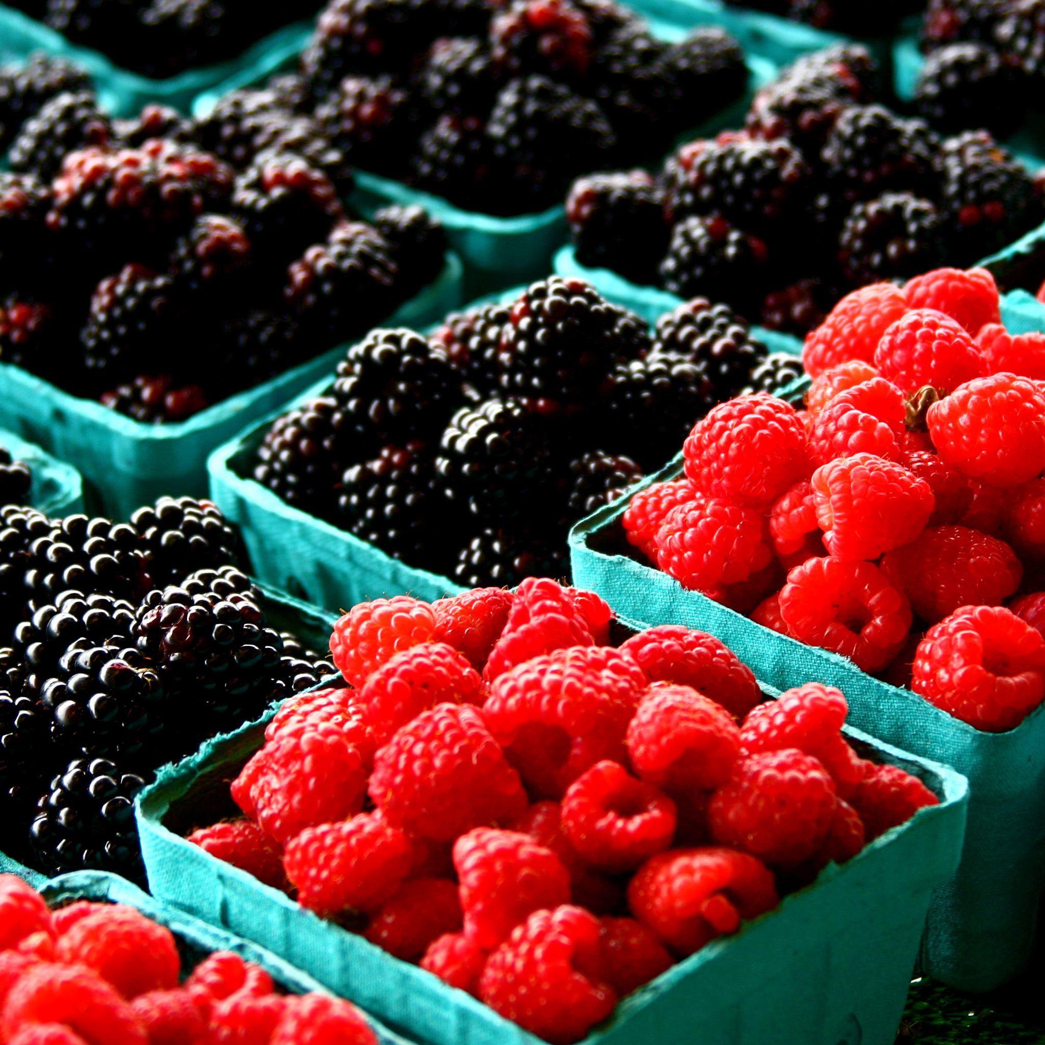 2048x2048 Red Black Berries iPad Air Wallpaper Free Download