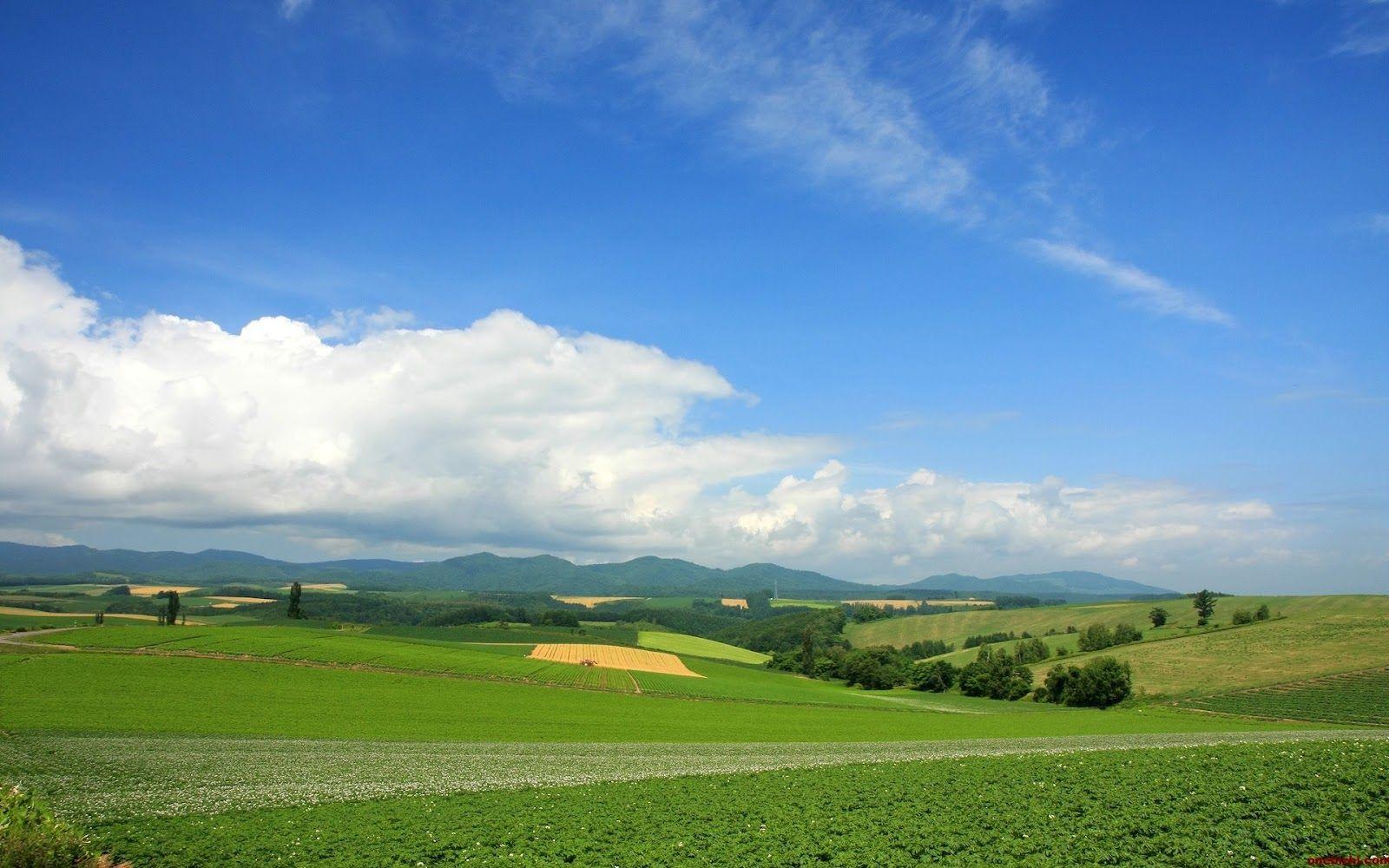 1600x1000 Natural HD Wallpaper: Beautiful sky HD wallpaper. Natural sky real wallpaper. Blue sky awesome wallpaper. Beautiful clouds wallpaper. Cloudy Sky Wallpaper