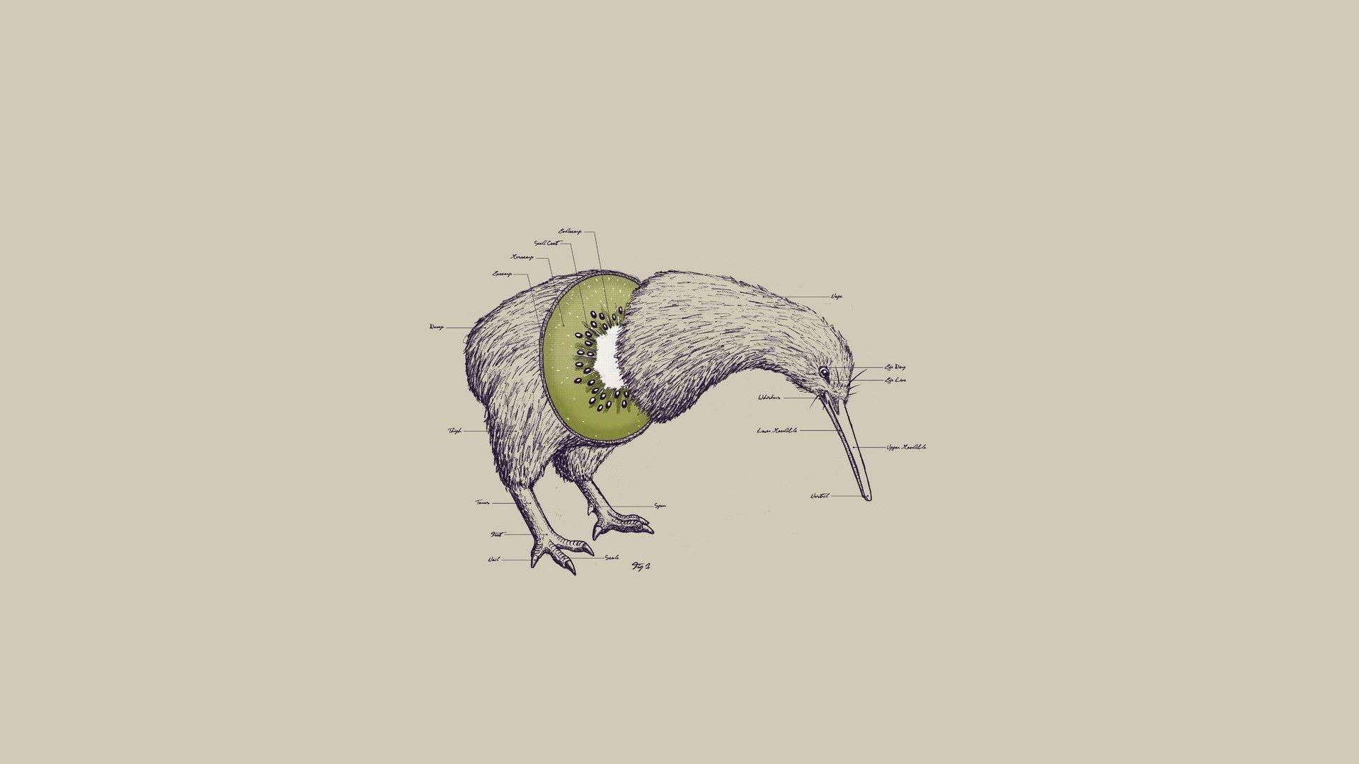 1920x1080 Birds Kiwi Animal Abstract Animals Kiwi Fruit Artwork Surreal Wallpaper:1920x1080