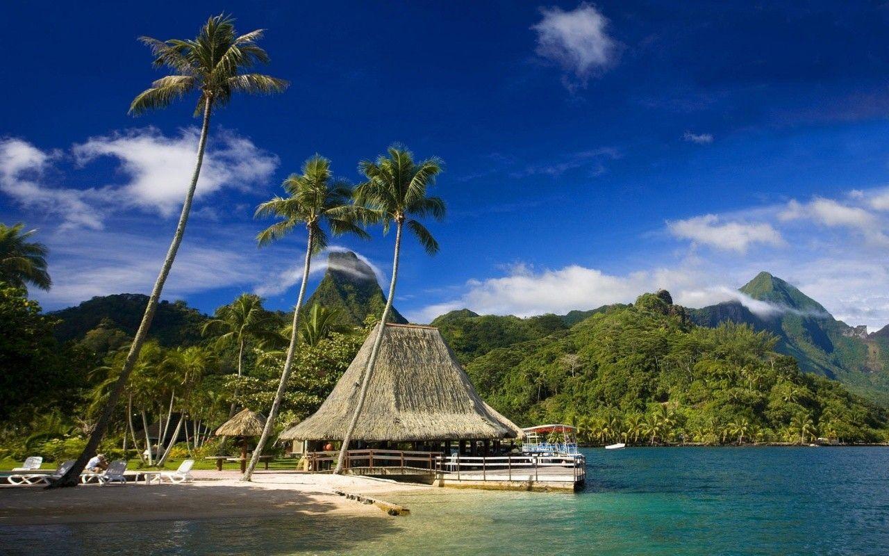 1280x800 Tahiti Beautiful Island Taihiti Villa Ocean Palm Trees Mountains Beach Wallpaper HD. Beautiful beach picture, Island travel, Beautiful islands