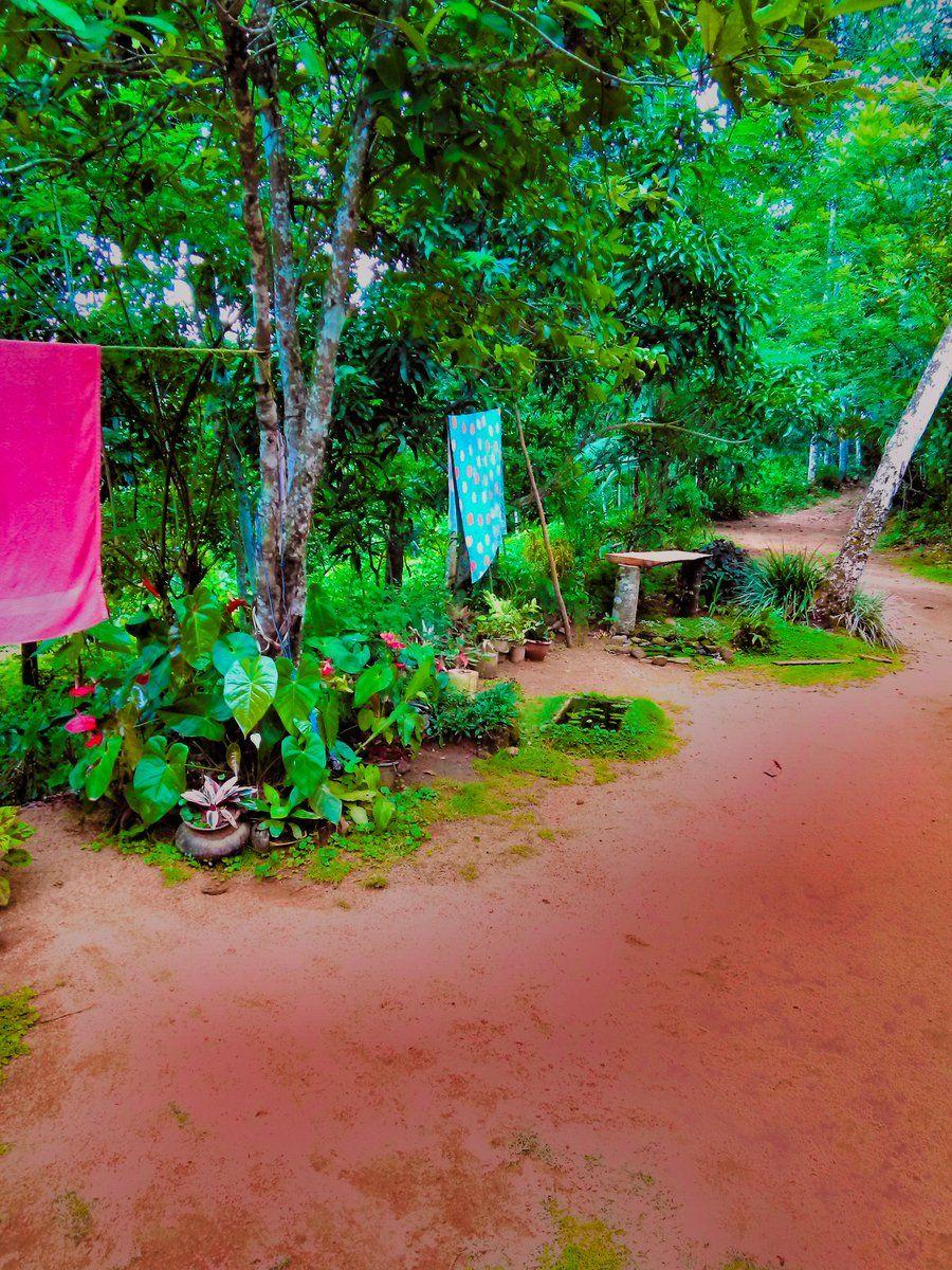 900x1200 Lakshitha Madushanka to nature #nature #wallpaper #naturewallpaper #dunkalahena #lmphotography #lakshitha #follow #Verified