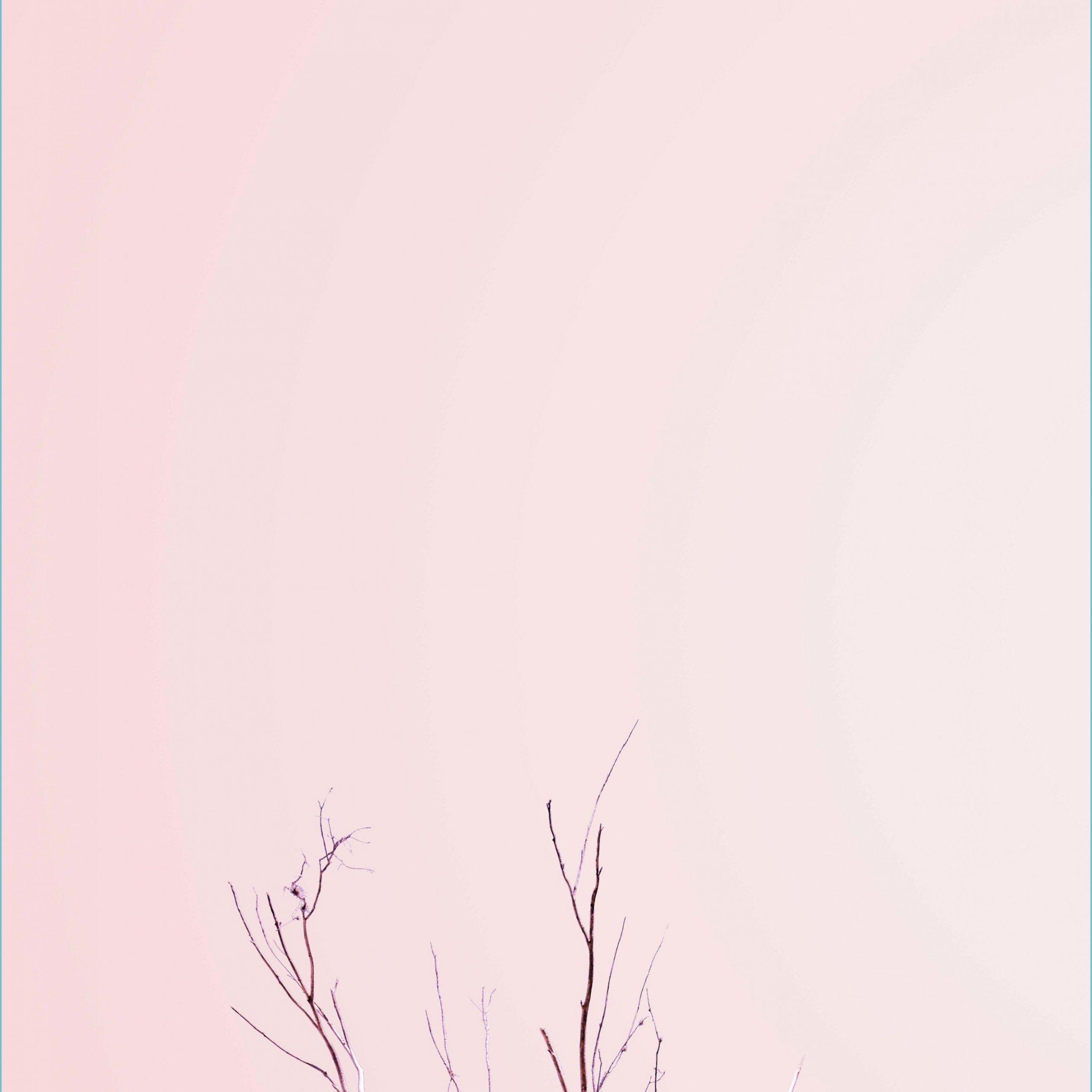 pastel minimalist desktop wallpaper hd