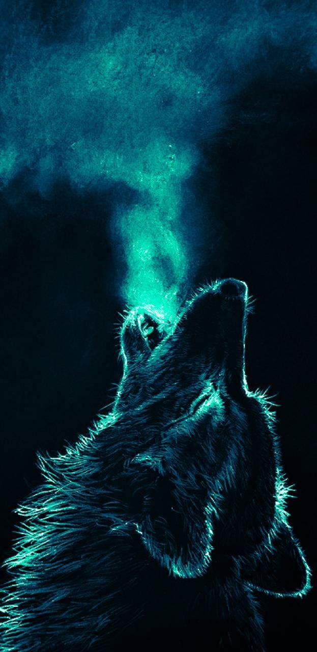 623x1280 Wolf Animal Wallpaper