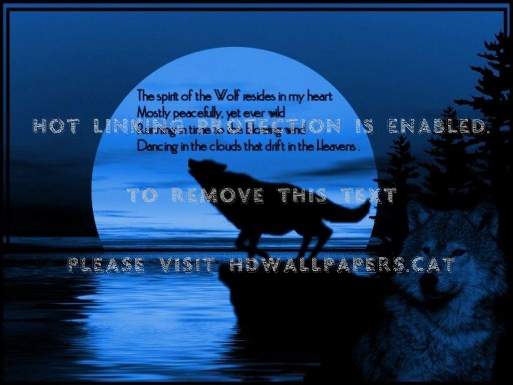 1024x768 Spirit Of The Wolf Wallpaper Water Verse Animal Wolf Background